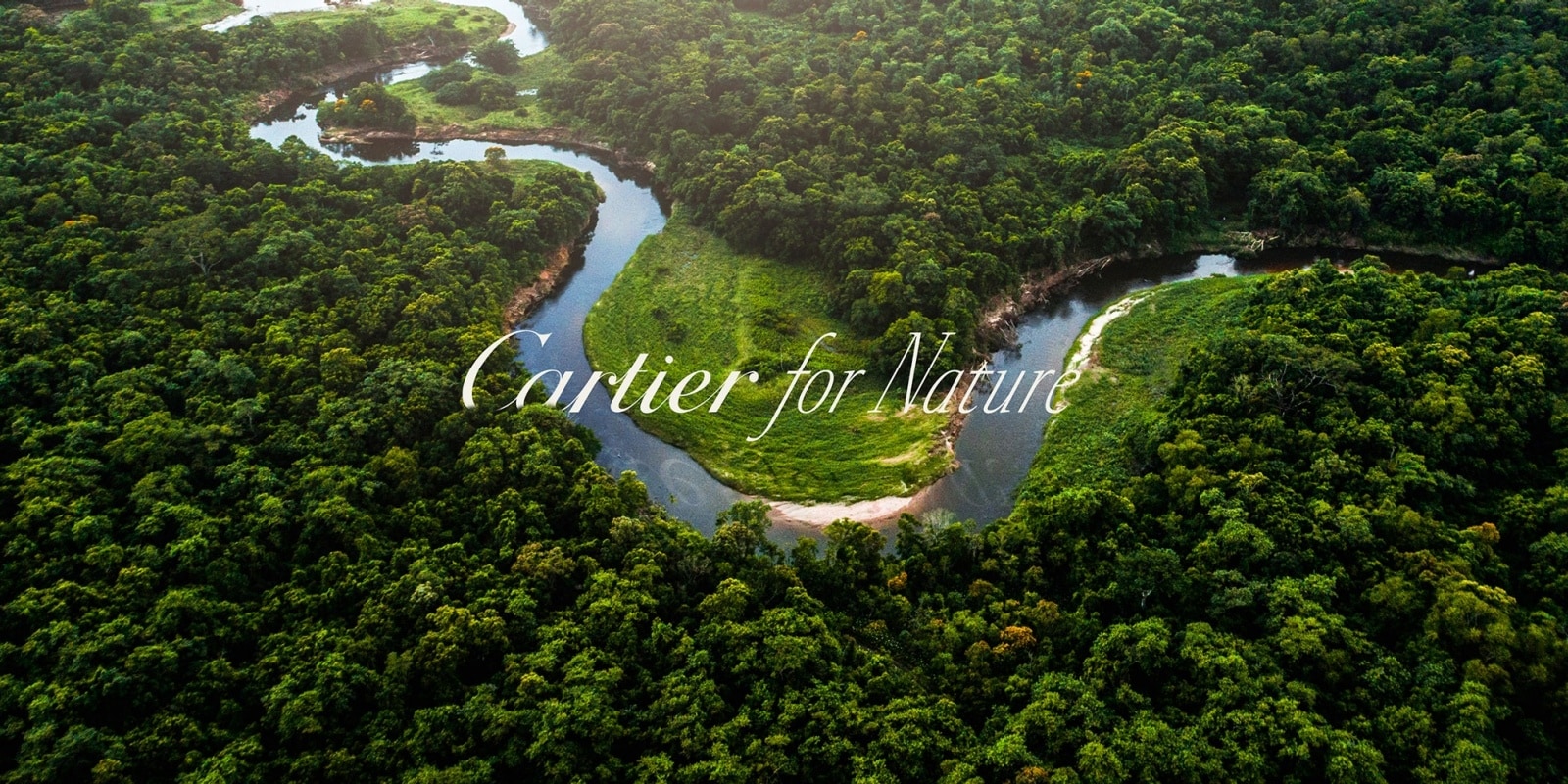 cartier for nature